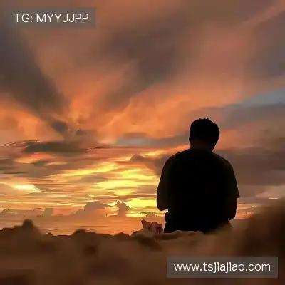 韦飚将